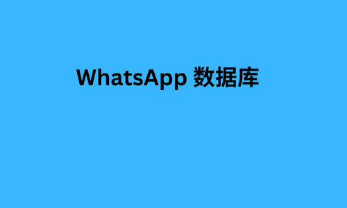 WhatsApp 数据库